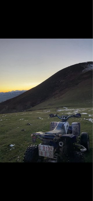Yamaha YFS Blaster