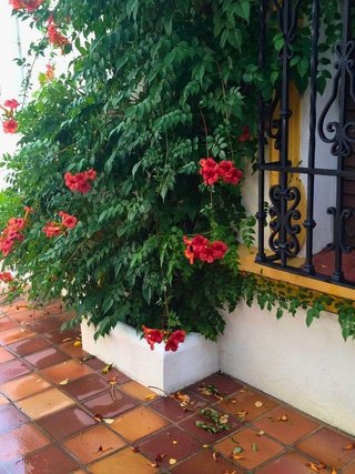 Chalet en venta en Villanueva del Arzobispo