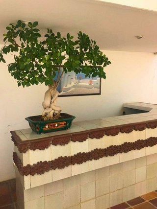 Chalet en venta en Villanueva del Arzobispo