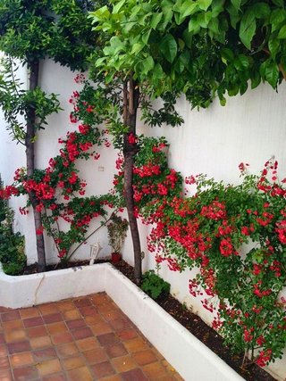 Chalet en venta en Villanueva del Arzobispo