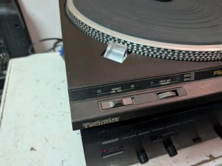 Technics SL-BD22D Giradischi Trasmissione acinghia