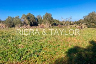 Terreno en venta en Manacor Centro en Manacor
