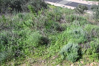 Terreno en venta en Mijas Golf en Mijas