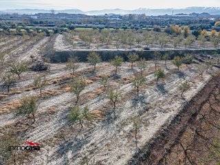Terreno en venta en Guadix