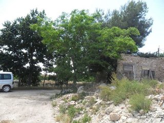 Terreno en venta en San Fulgencio