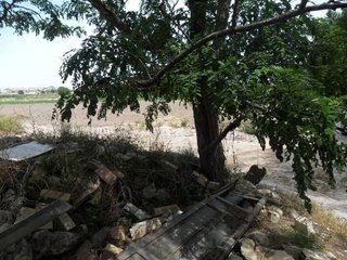 Terreno en venta en San Fulgencio