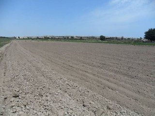 Terreno en venta en San Fulgencio
