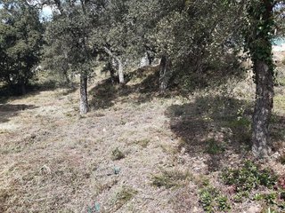 Terreno en venta en Santa Cristina d'Aro en Santa Cristina d´Aro