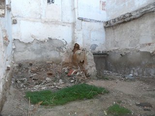 Terreno en venta en Alcañiz