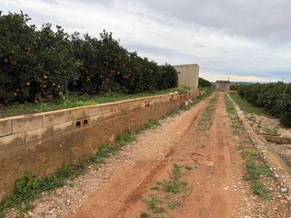 Terreno en venta en Las Pedrizas en Chiva