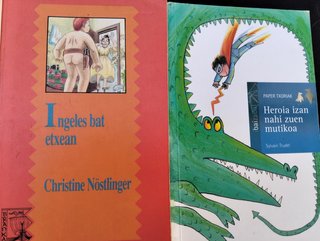 Lote de libros en Euskera