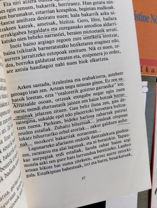 Lote de libros en Euskera