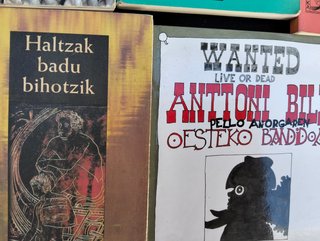 Lote de libros en Euskera
