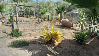 Casa rural en alquiler en Almonte en Almonte