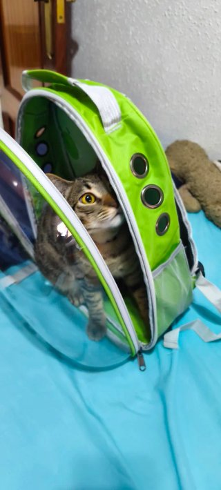 Mochila transportín para mascotas