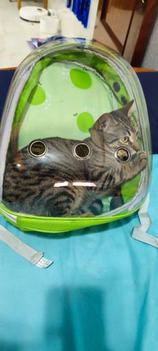 Mochila transportín para mascotas