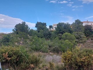 Terreno en venta en Alginet