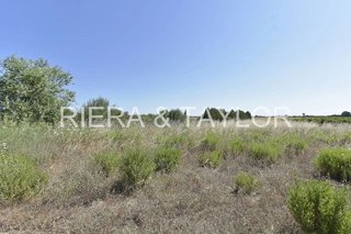 Terreno en venta en Felanitx