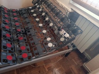 Somier Eléctrico Doble