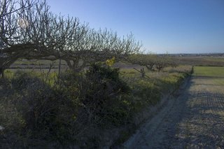 Terreno en venta en La Banda - Campo de Fútbol en Chiclana de la Frontera