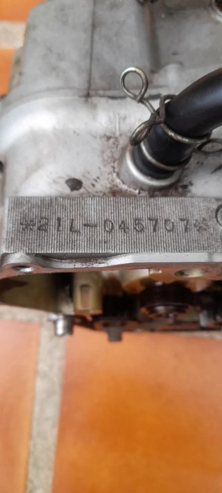 Motor Yamaha SR 250