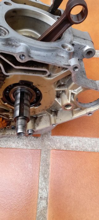 Motor Yamaha SR 250