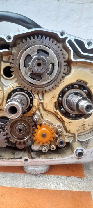 Motor Yamaha SR 250