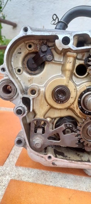 Motor Yamaha SR 250