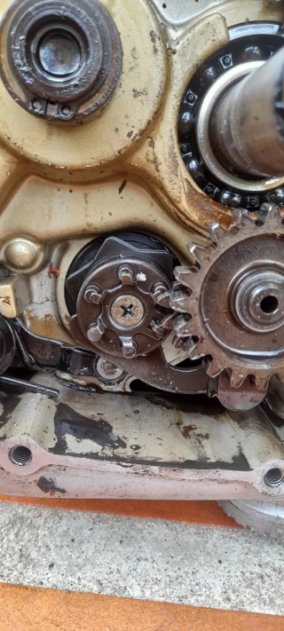 Motor Yamaha SR 250