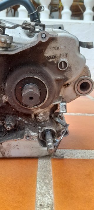 Motor Yamaha SR 250