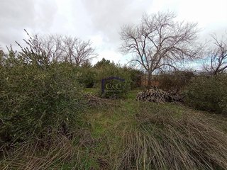 Casa rural en venta en Manzanares