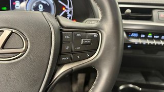 Lexus UX BUSINESS 2.0 HÃ­brido Gasolina TransmisiÃ³n Auto