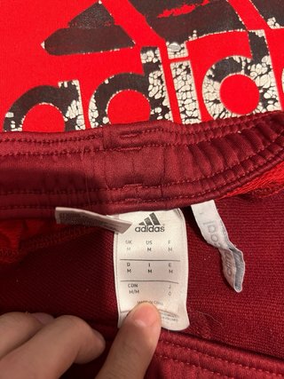 Chándal Adidas Bayern Múnich Rojo