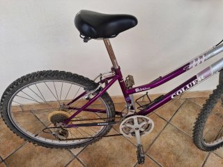 Bicicleta Coluer Morada y Plateada