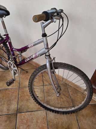 Bicicleta Coluer Morada y Plateada