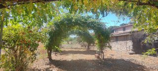 Solar en venta en Candeleda