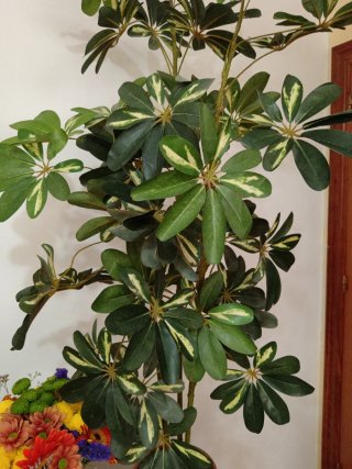 Planta Artificial Grande Realista