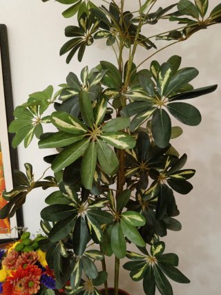 Planta Artificial Grande Realista