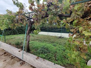 Chalet en venta en Molar (El)