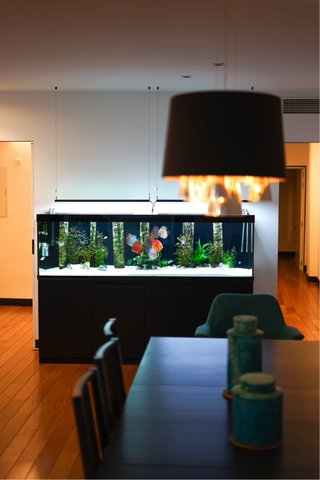 Acuario 600L Completo