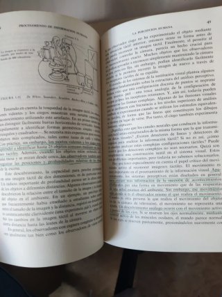 Procesamiento de la información humana una intr...