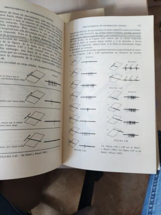 Procesamiento de la información humana una intr...