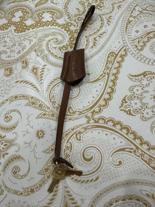 Bolso Louis Vuitton Marrón