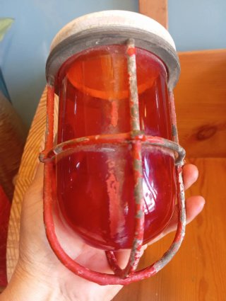 Tulipano rosso antico con protezione