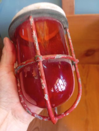 Tulipano rosso antico con protezione