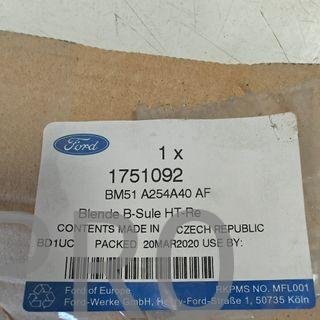 MOLDURA PUERTA TRASERA DERECHA FORD FOCUS NUEVO