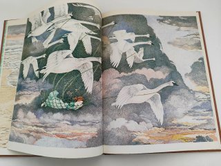 Los cisnes salvajes