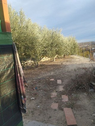 Casa en venta en Mula