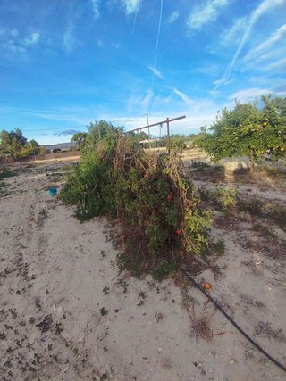 Casa en venta en Mula