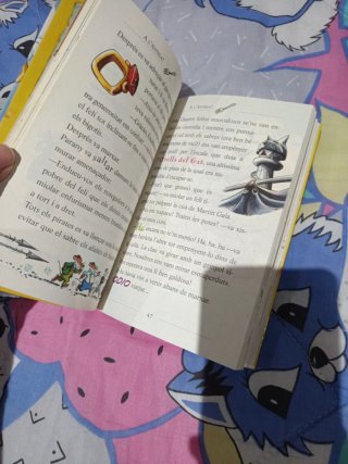 El galió dels Gats Pirates